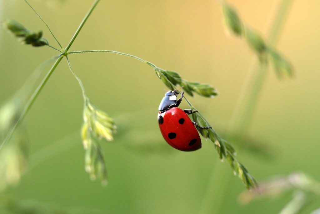 小さな結婚式での少人数向けケーキ入刀のアイデアは？