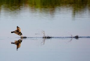 小さな結婚式の格安おすすめプランはどれ？