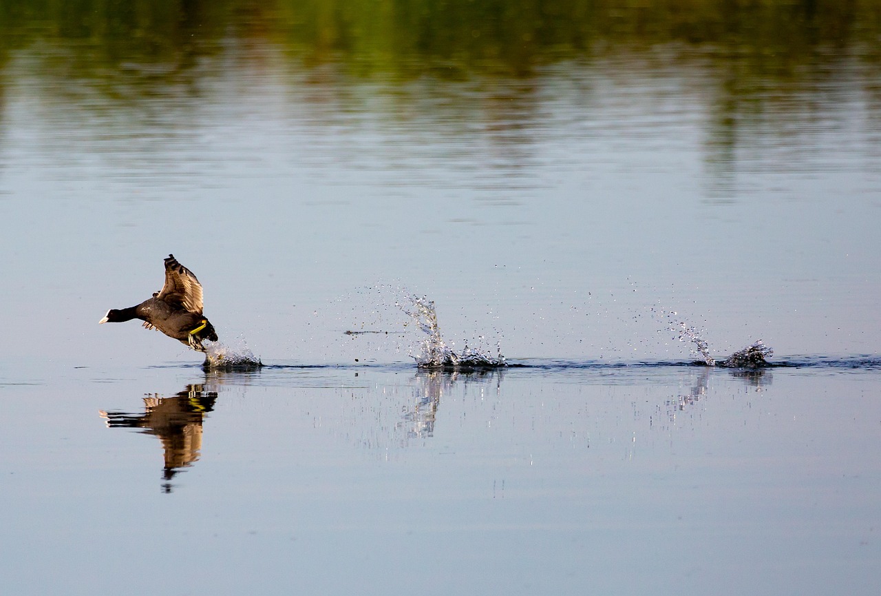 小さな結婚式の格安おすすめプランはどれ？