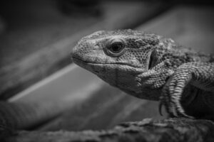 小さな結婚式の費用を安くする方法とは？