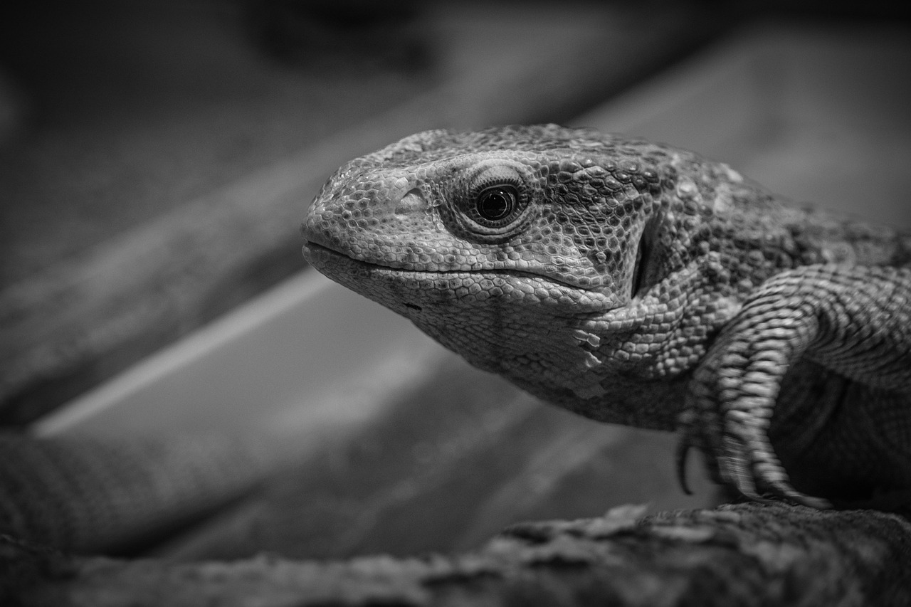 小さな結婚式の費用を安くする方法とは？