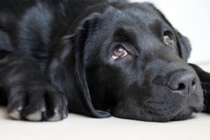 再婚挙式で罪悪感があるとき、どう対処すればいい？